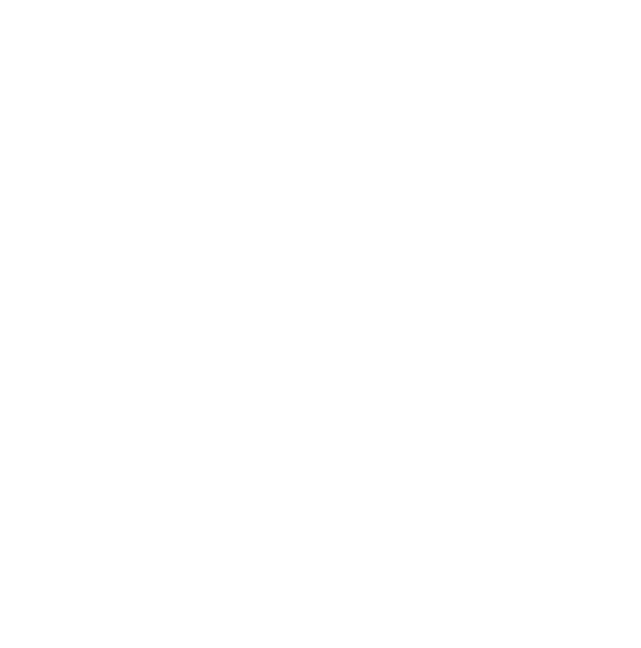 Studo L'Únic