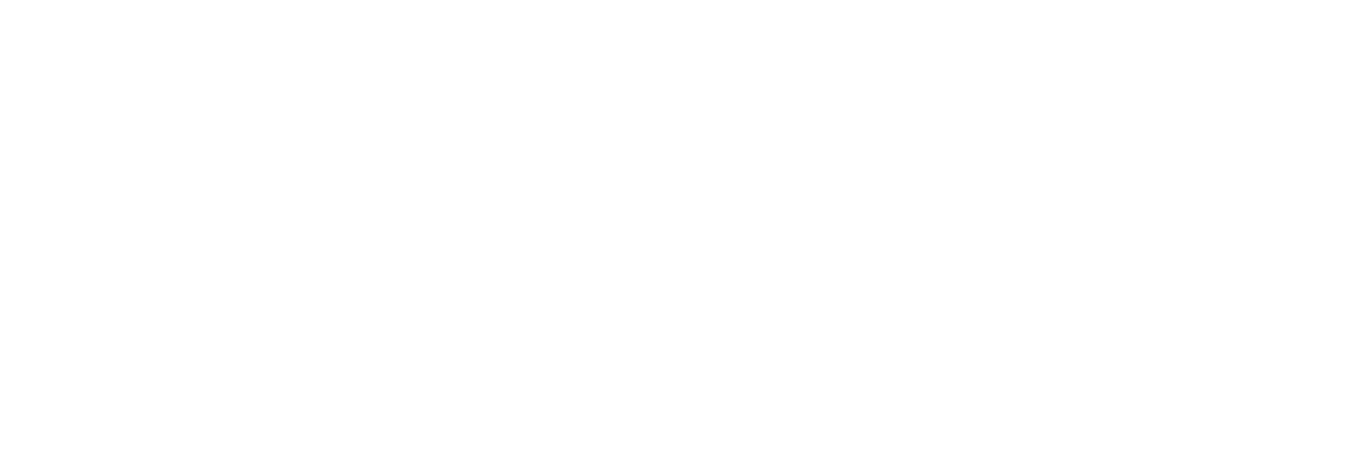 Studio L' Únic